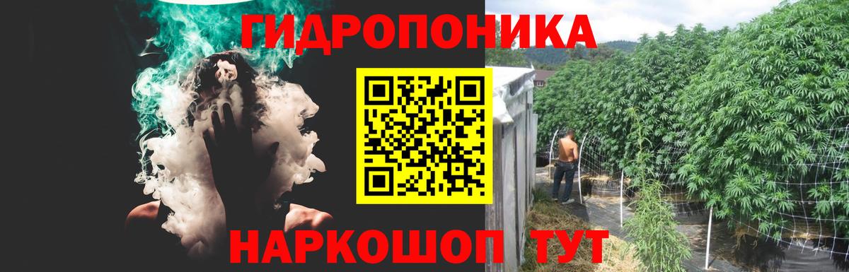 Бошки Шишки MAZAR Благовещенск
